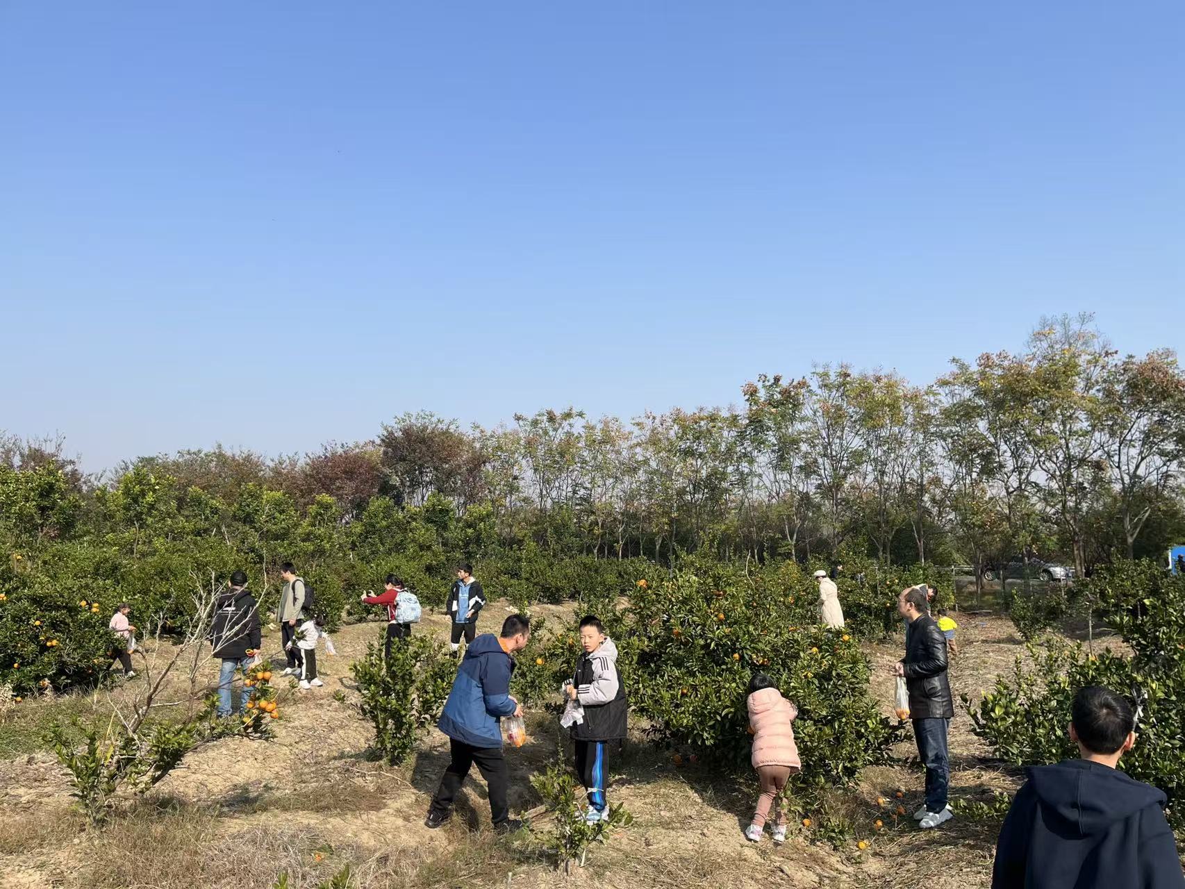 1763892092358196.jpg 1. 微信图片_20251123133554_283_276+'.jpg