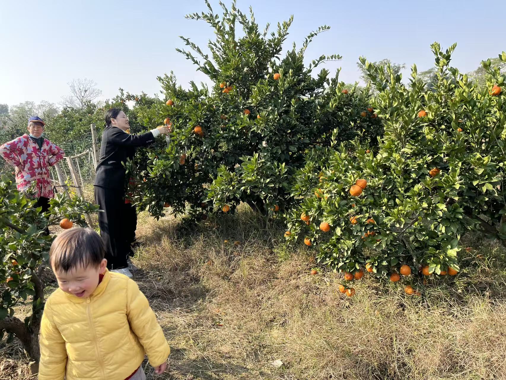 1763892180879870.jpg 2. 微信图片_20251123133550_282_276+'.jpg